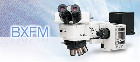 olympus奥林巴斯工业显微镜BXFM小型系统显微镜