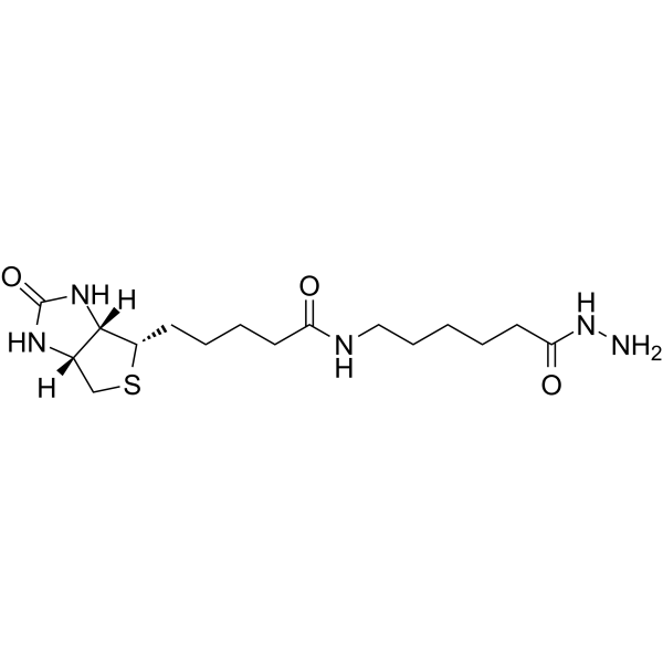 Biotin LC hydrazide(Synonyms: 生物素LC酰肼; Biotinamidocaproyl hydrazide;  BACH;  (+)-Biotinamidohexanoic Acid hydrazide;  Biotin Aminocaproyl Hydrazide)