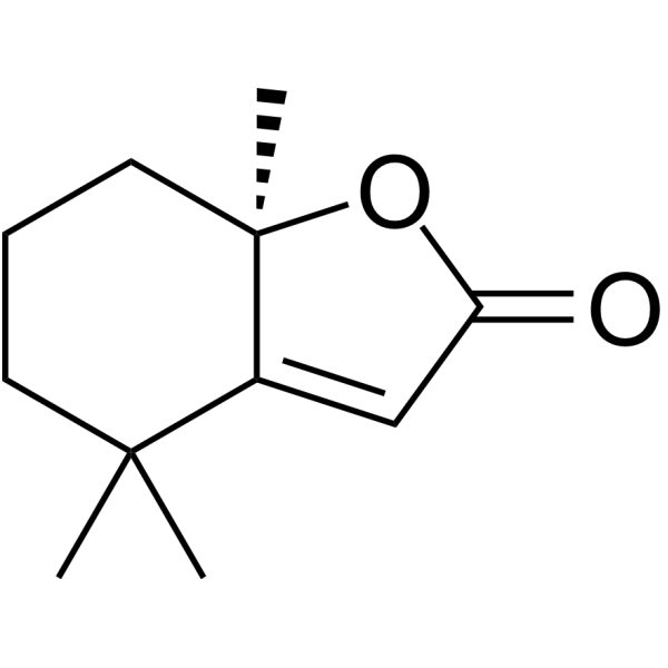 Dihydroactinidiolide(Synonyms: 二氢猕猴桃内酯)