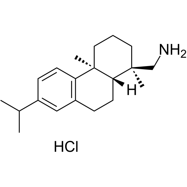 Leelamine hydrochloride(Synonyms: 脱氢松香胺盐酸盐)