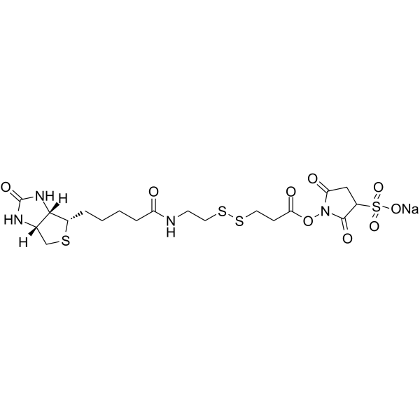 Sulfo-NHS-SS-Biotin sodiumamp;;