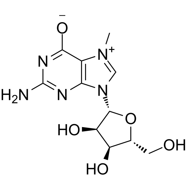 7-Methylguanosine