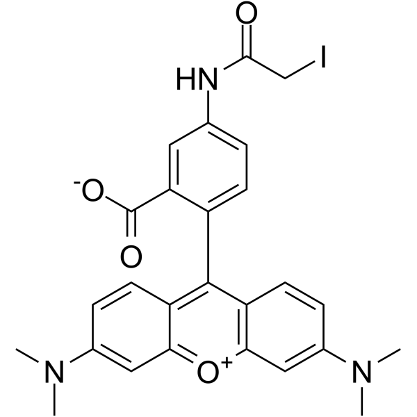 Tetramethylrhodamine-5-iodoacetamide(Synonyms: 5-TMRIA)