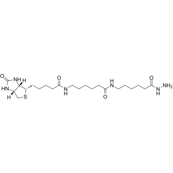 Biotin-XX hydrazide(Synonyms: Biotin-(AC5)2-hydrazide)