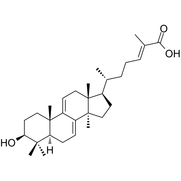 Ganoderic acid Y(Synonyms: 灵芝酸Y)