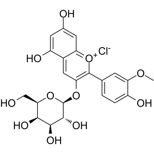 Peonidin-3-O-galactoside chloride(Synonyms: 氯化芍药素-3-O-半乳糖苷；氯化芍药色素半乳糖苷)