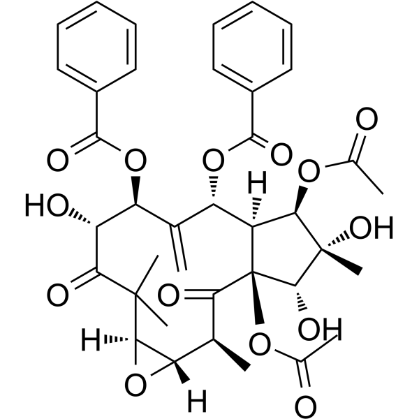 Kansuinine B Chemical Structure Kansuinine B(Synonyms: 甘遂萜酯B)