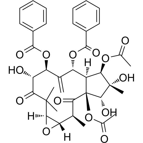 Kansuinine B(Synonyms: 甘遂萜酯B)