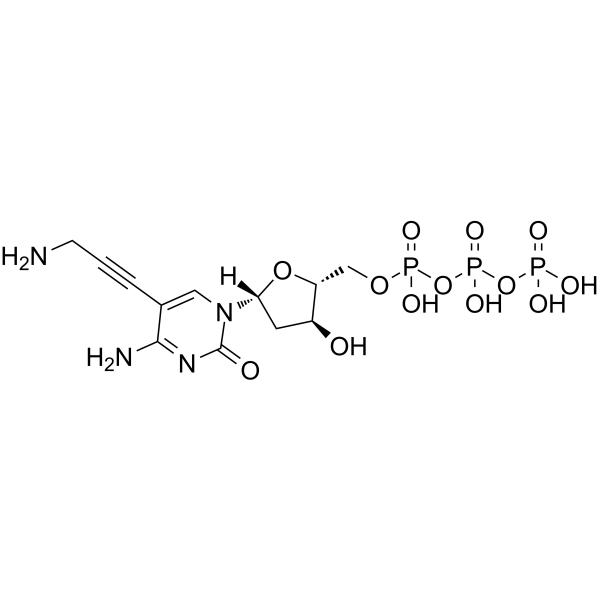 5-Propargylamino-dCTP