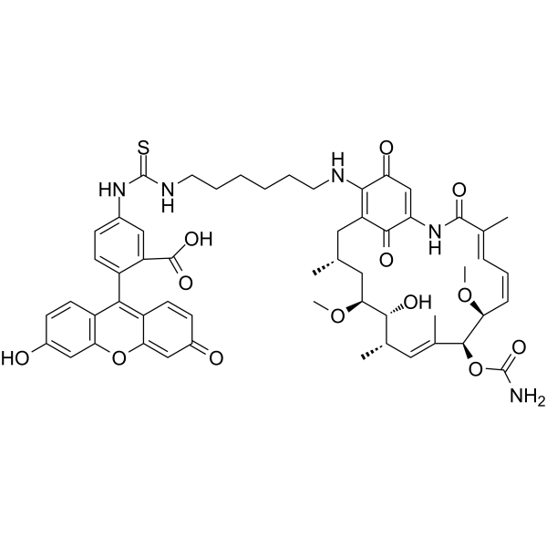 Geldanamycin-FITCamp;;