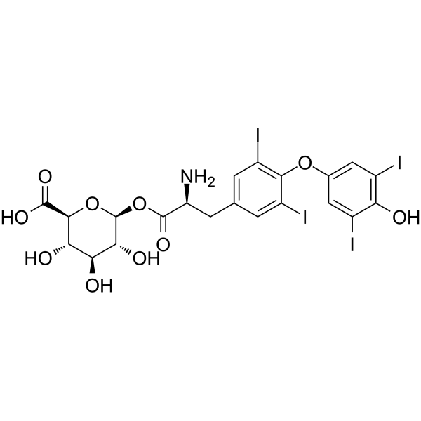 Levothyroxine acyl glucuronide(Synonyms: Thyroxine acyl-β-D-glucuronide)
