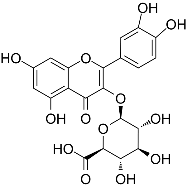 Miquelianin(Synonyms: Quercetin 3-O-glucuronide;  Quercetin 3-glucuronide)