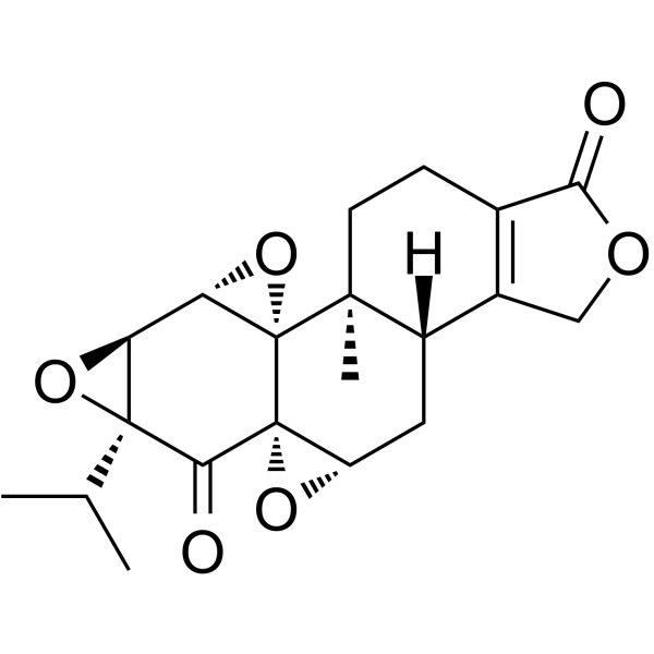 Triptonide(Synonyms: 雷公藤内酯酮; NSC 165677;  PG 492)