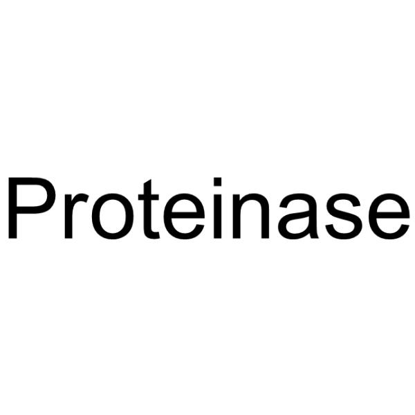 Proteinase(Synonyms: 蛋白酶)