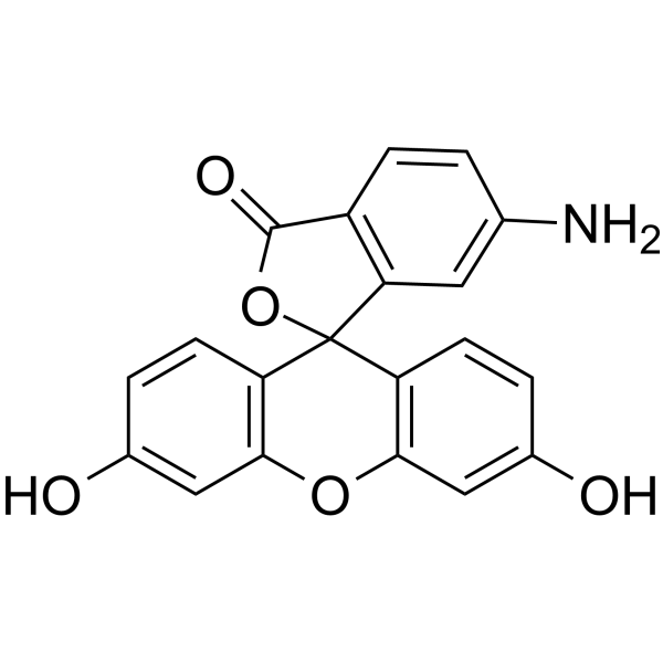 6-Aminofluorescein(Synonyms: 6-氨基荧光素; 6-AF)