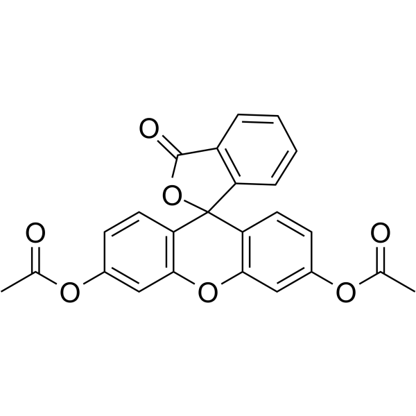 Fluorescein Diacetate(Synonyms: 荧光素二乙酸酯; 3,6-Diacetoxyfluoran;  Di-O-acetylfluorescein)