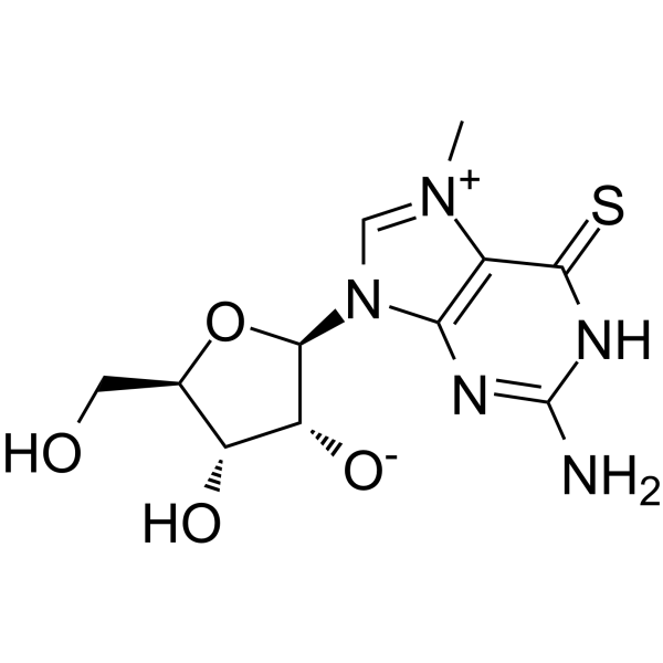 7-Methyl-6-thioguanosineamp;;(Synonyms: MESG)