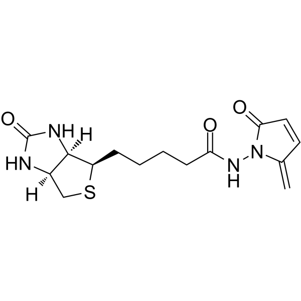 L-Biotin-NH-5MP