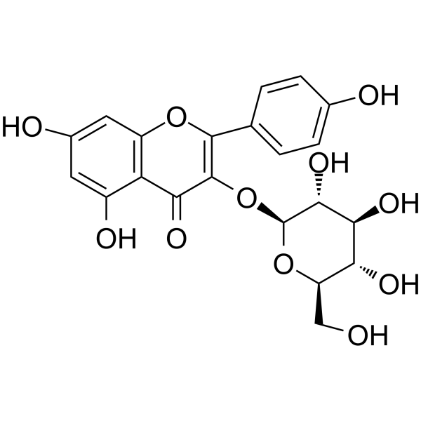 Astragalin(Synonyms: 紫云英苷; Astragaline;  3-Glucosylkaempferol;  Kaempferol 3-β-D-glucopyranoside)