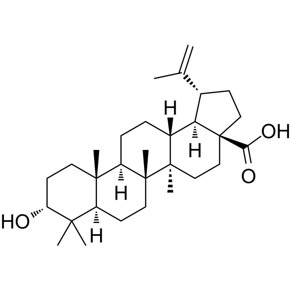 Epibetulinic acid(Synonyms: 表白桦脂酸)