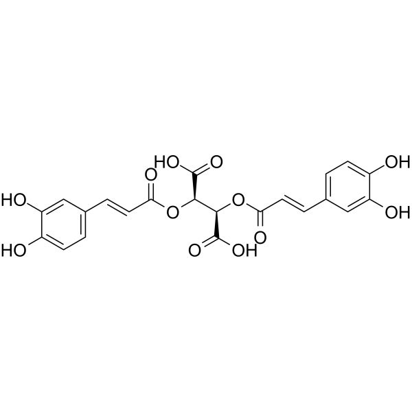 Cichoric Acid(Synonyms: 菊苣酸; Cichoric acid;  Dicaffeoyltartaric acid)