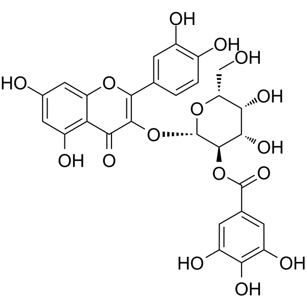 2"-O-Galloylhyperin(Synonyms: 2”-O-没食子酰基金丝桃苷)