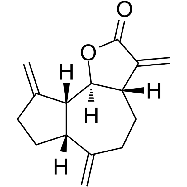 Dehydrocostus Lactone(Synonyms: 去氢木香烃内酯; (-)-Dehydrocostus lactone;  Epiligulyl oxide)