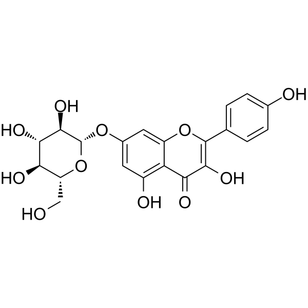 Kaempferol-7-O-β-D-glucopyranoside(Synonyms: 山奈酚-7-O-葡萄糖苷)