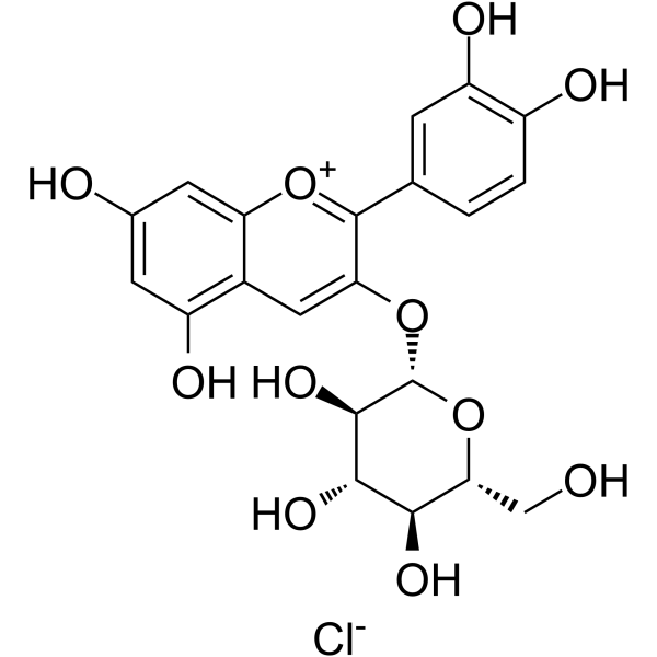 Kuromanin chloride(Synonyms: 矢车菊素-3-O-葡萄糖苷; Chrysontemin;  Cyanidin 3-O-glucoside chloride)