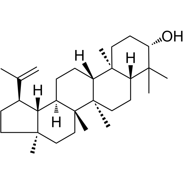 Lupeol(Synonyms: 羽扇豆醇; Clerodol;  Monogynol B;  Fagarasterol)