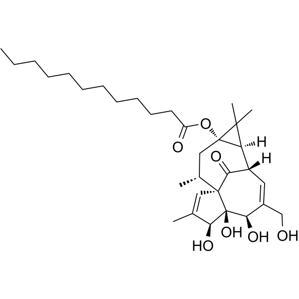 Dodecanoic acid ingenol ester(Synonyms: 正十二烷酸巨大戟酯)