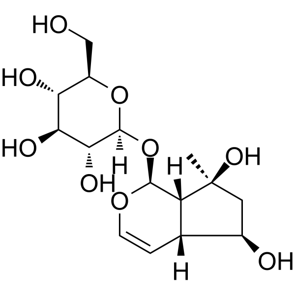 Ajugol(Synonyms: 益母草苷)