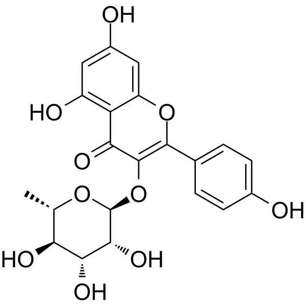 Afzelin(Synonyms: Kaempferol-3-O-rhamnoside)