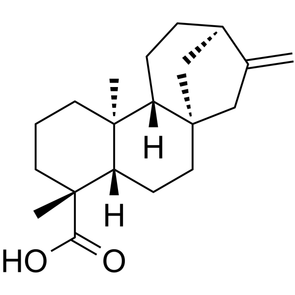 Kaurenoic acid(Synonyms: 异贝壳杉烯酸；贝壳杉烯酸)