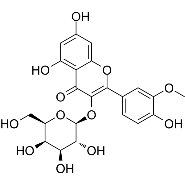 Isorhamnetin 3-O-galactoside(Synonyms: 异鼠李素-3-O-半乳糖苷; Cacticin)