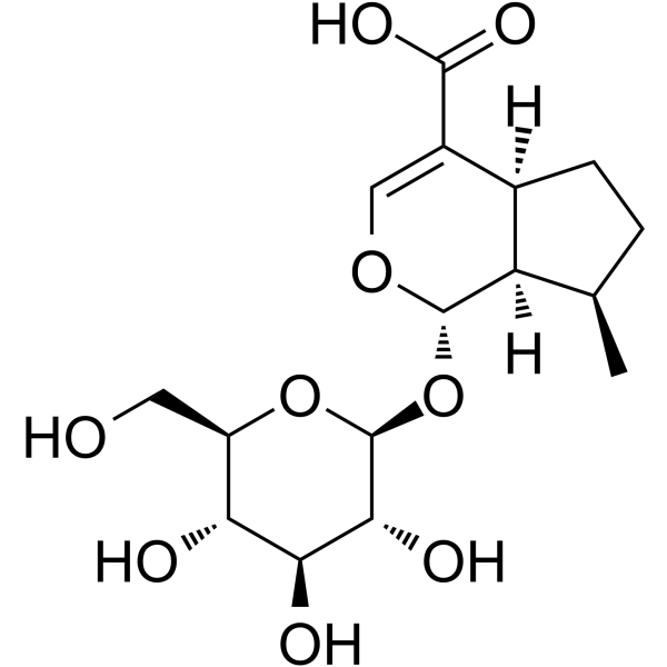 8-Epideoxyloganic acid(Synonyms: 7-Deoxy-8-epiloganic acid)