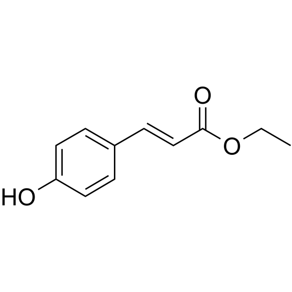p-Coumaric Acid Ethyl Ester(Synonyms: 对香豆酸乙酯; Ethyl (E)-p-hydroxycinnamate;  Ethyl trans-4-hydroxycinnamate)