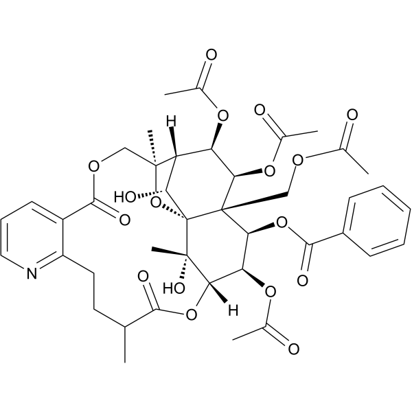 Euojaponine D(Synonyms: 冬青卫矛碱D)