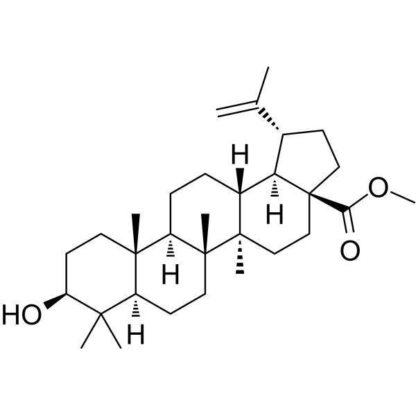 Betulinic acid methyl ester(Synonyms: Methyl betulinate)
