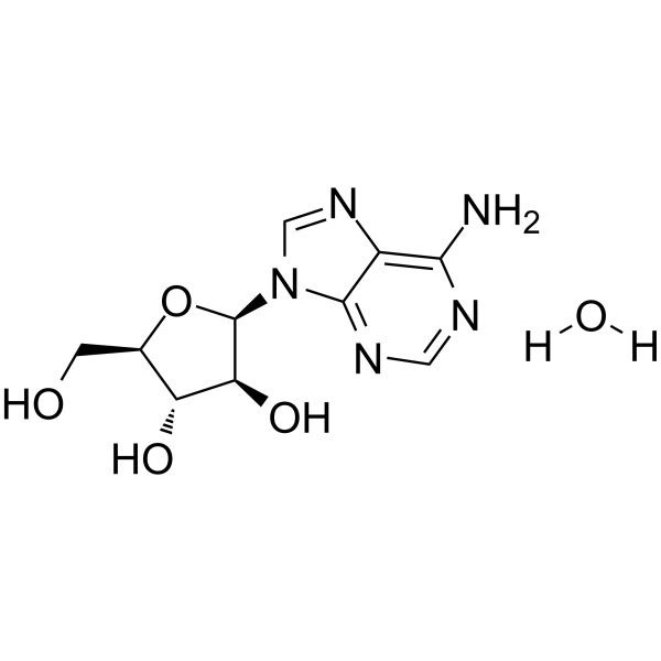Vidarabine monohydrate(Synonyms: 维达拉滨一水合物)