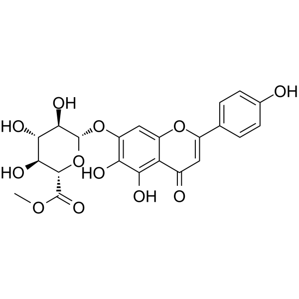 Scutellarin methyl ester(Synonyms: 灯盏花乙素甲酯； 野黄芩苷甲酯)