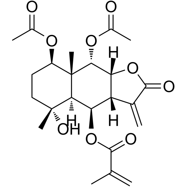 6-O-Methacrylate