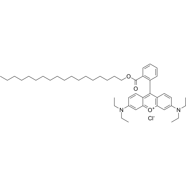Octadecyl Rhodamine B chlorideamp;;