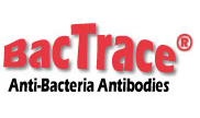 BacTrace抗弯曲杆菌特异性抗体
