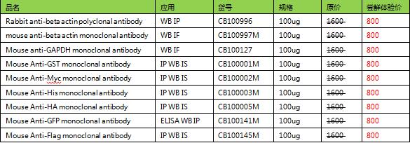 标签抗体内参抗体现货