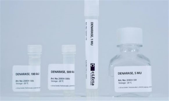 新品上市 | DENARASE®全能核酸酶