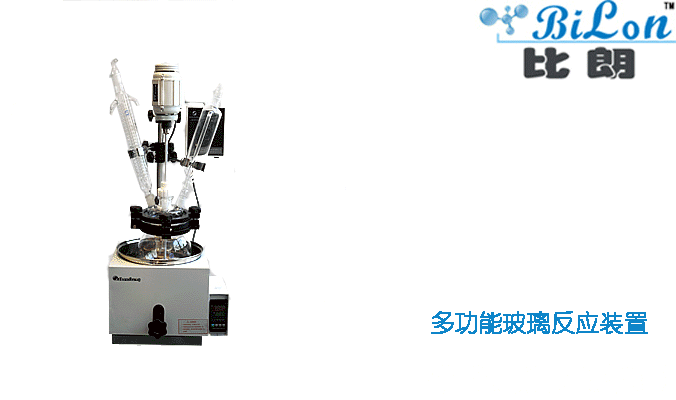BILON上海比朗DGN-5L单层玻璃反应釜