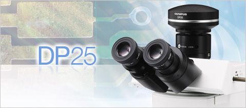 olympus奥林巴斯工业显微镜DP25数码照相装置