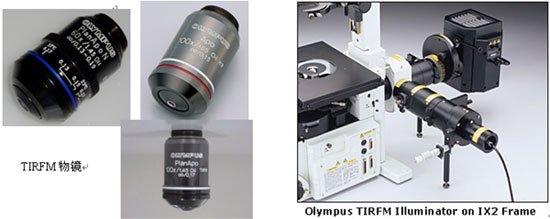olympus奥林巴斯全内反射荧光显微镜IX2显微镜-