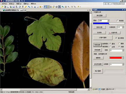 BILON上海比朗LA-S全能型植物图像分析仪系统